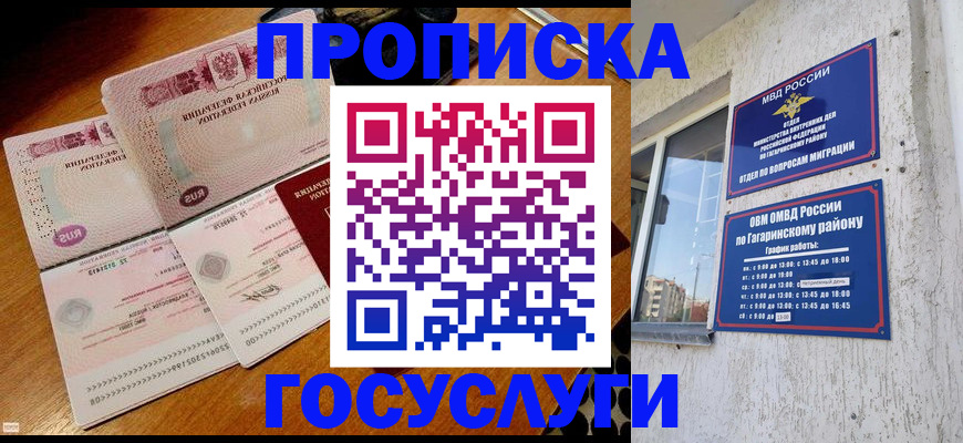 временная регистрация купить в Кингисеппе